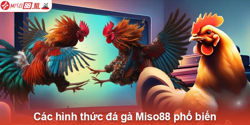 Các hình thức đá gà Miso88 phổ biến