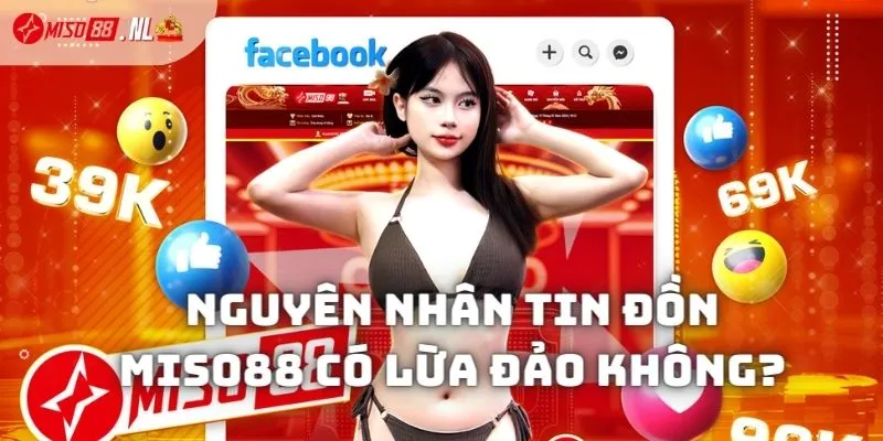 Nguyên nhân xuất hiện tin đồng Miso88 có lừa đảo không?