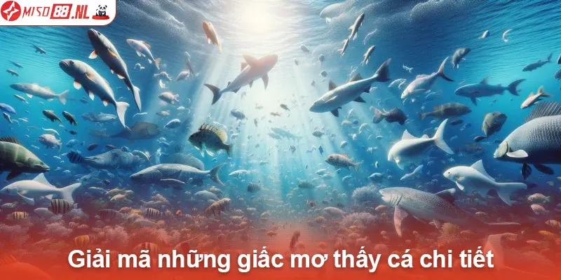 Giải mã những giấc mơ thấy cá chi tiết