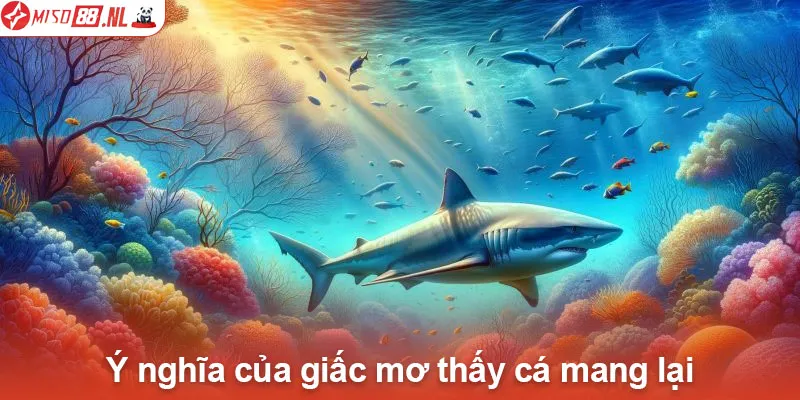 Ý nghĩa của giấc mơ thấy cá mang lại