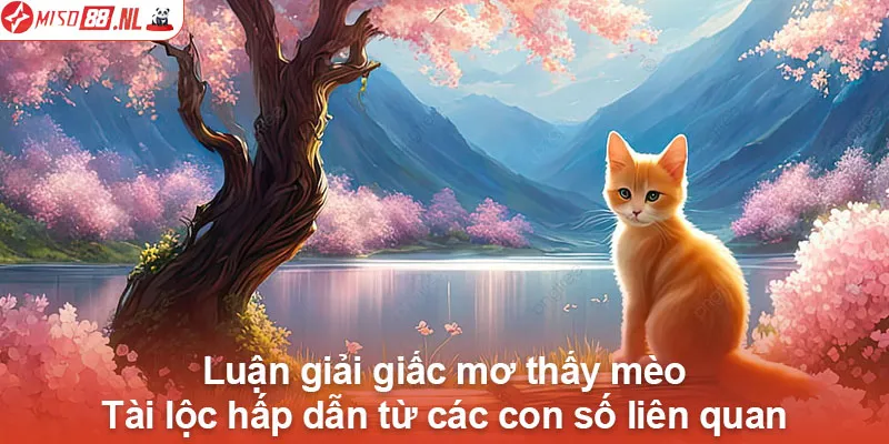 Mơ thấy Mèo